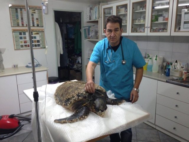 ΚΤΗΝΙΑΤΡΕΙΟ ΚΤΗΝΙΑΤΡΙΚΕΣ ΥΠΗΡΕΣΙΕΣ ΛΕΡΟΣ | ΚΤΗΝΙΑΤΡΙΚΟ ΚΕΝΤΡΟ ΛΕΡΟΥ