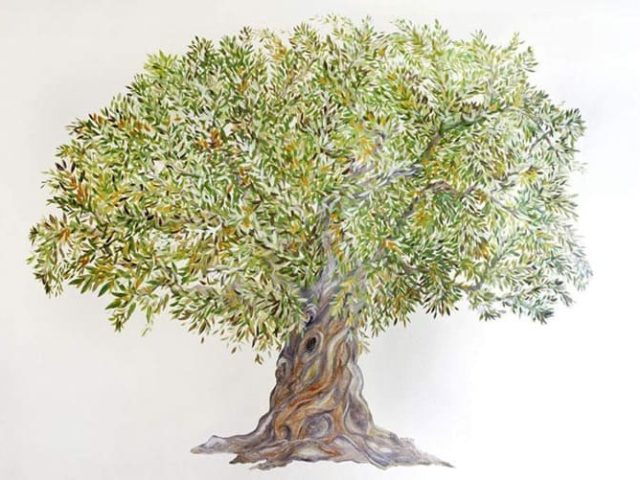 ΧΕΙΡΟΥΡΓΟΣ ΩΡΛ ΓΚΥΖΗ ΑΘΗΝΑ | ΣΦΗΚΑΣ ΔΗΜΗΤΡΙΟΣ