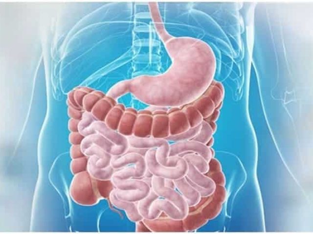 ΓΑΣΤΡΕΝΤΕΡΟΛΟΓΟΣ ΚΑΛΑΜΑΤΑ | ΜΑΚΡΕΑΣ ΣΩΚΡΑΤΗΣ