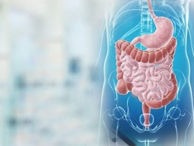 ΓΑΣΤΡΕΝΤΕΡΟΛΟΓΟΣ ΣΑΜΟΣ ΓΡΑΜΜΑΤΙΚΟΣ ΚΩΝΣΤΑΝΤΙΝΟΣ