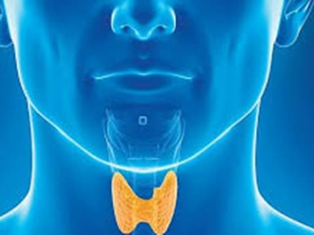 ΕΝΔΟΚΡΙΝΟΛΟΓΟΣ ΣΠΑΡΤΗ | ΧΕΛΙΩΤΗ ΙΩΑΝΝΑ