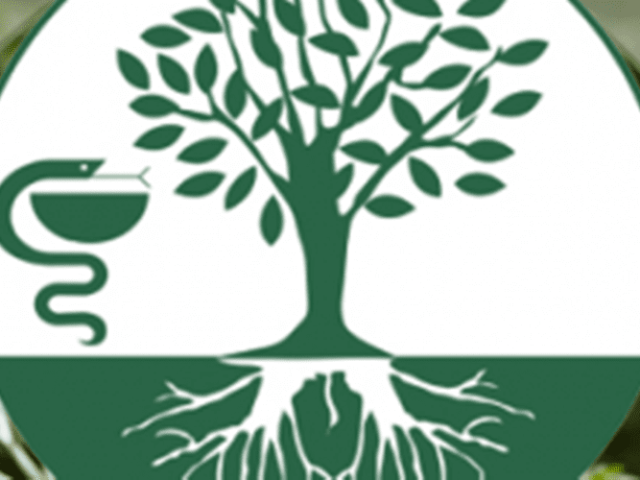 ΦΑΡΜΑΚΕΙΟ ΚΟΖΑΝΗ | ΤΟ ΦΑΡΜΑΚΕΙΟ ΤΗΣ ΓΗΣ ΛΑΜΠΡΕΤΣΑ ΕΛΛΗ