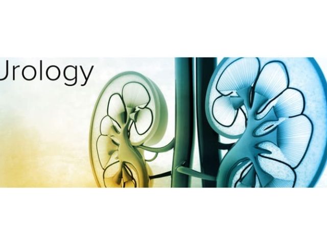 ΧΕΙΡΟΥΡΓΟΣ ΟΥΡΟΛΟΓΟΣ ΒΟΛΟΣ | ΠΑΠΑΠΑΝΟΣ ΧΡΗΣΤΟΣ