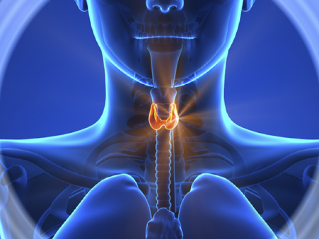 ΕΝΔΟΚΡΙΝΟΛΟΓΟΣ-ΔΙΑΒΗΤΟΛΟΓΟΣ ΧΑΛΑΝΔΡΙ | ΓΑΡΙΔΟΥ ΑΝΝΑ MD PhD