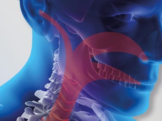 ΩΡΛ ΡΕΘΥΜΝΟ | ΛΙΤΙΝΑΣ ΕΛΕΥΘΕΡΙΟΣ-ΙΩΑΝΝΗΣ