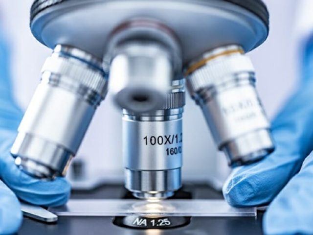 ΕΙΔΙΚΟΣ ΠΑΘΟΛΟΓΟΣ ΚΑΛΛΙΘΕΑ | ΚΑΡΕΛΛΑΣ ΙΩΑΝΝΗΣ