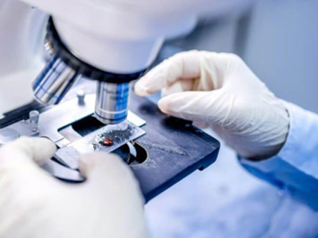 ΜΙΚΡΟΒΙΟΛΟΓΙΚΟ ΕΡΓΑΣΤΗΡΙΟ ΝΑΥΠΛΙΟ | ΚΑΛΑΝΤΖΗ ΓΙΑΝΝΟΠΟΥΛΟΥ ΠΑΝΑΓΙΩΤΑ