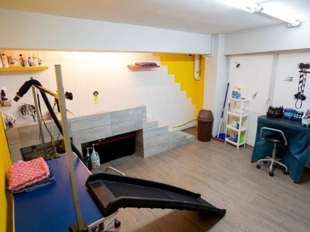 ΚΑΛΛΩΠΙΣΜΟΣ ΜΙΚΡΩΝ ΖΩΩΝ ΝΕΟΣ ΚΟΣΜΟΣ | ΕΛΕΝΗ ΚΑΡΥΠΟΓΛΟΥ